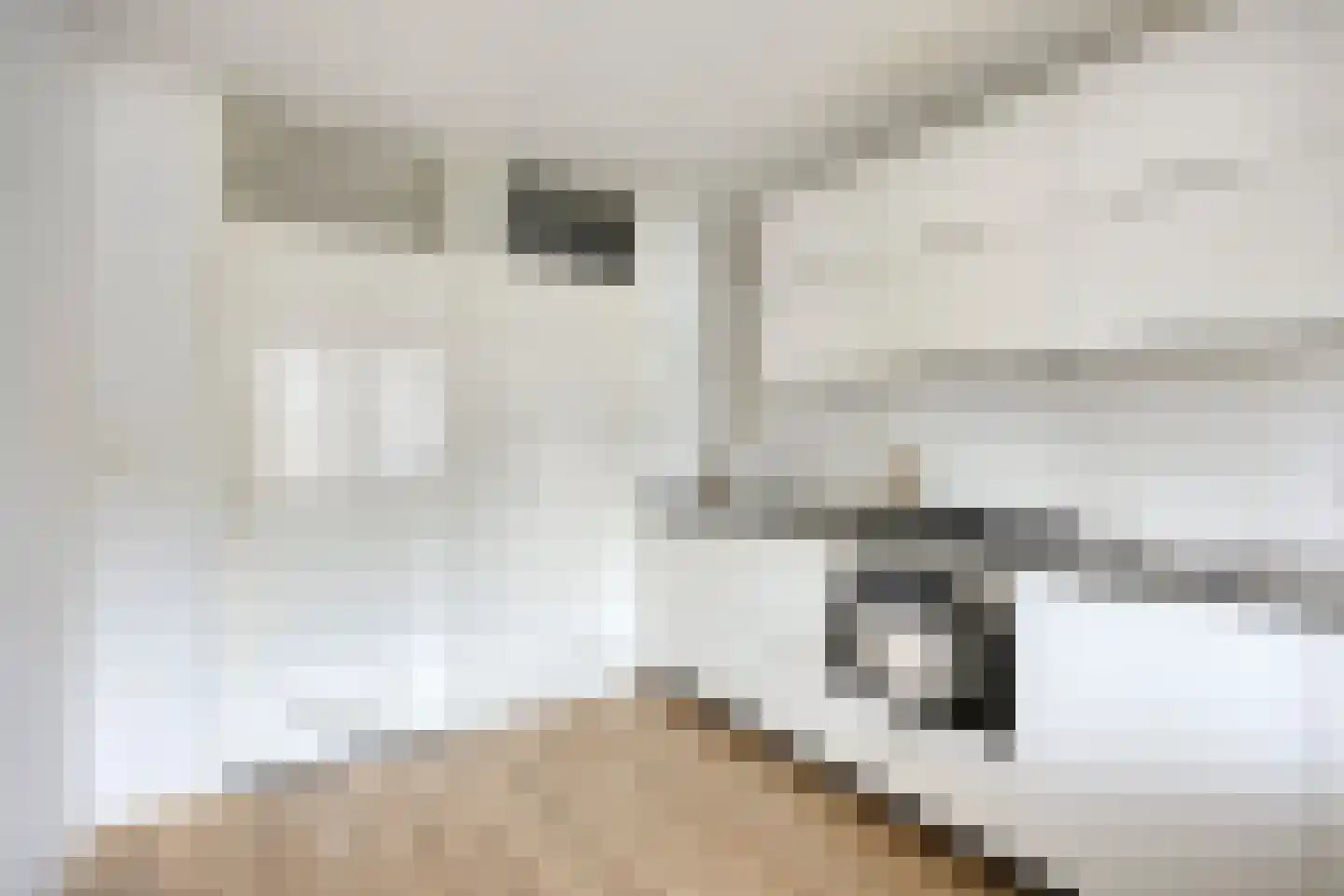 Louis Davidsstraat 28 Amsterdam thumbnail 9