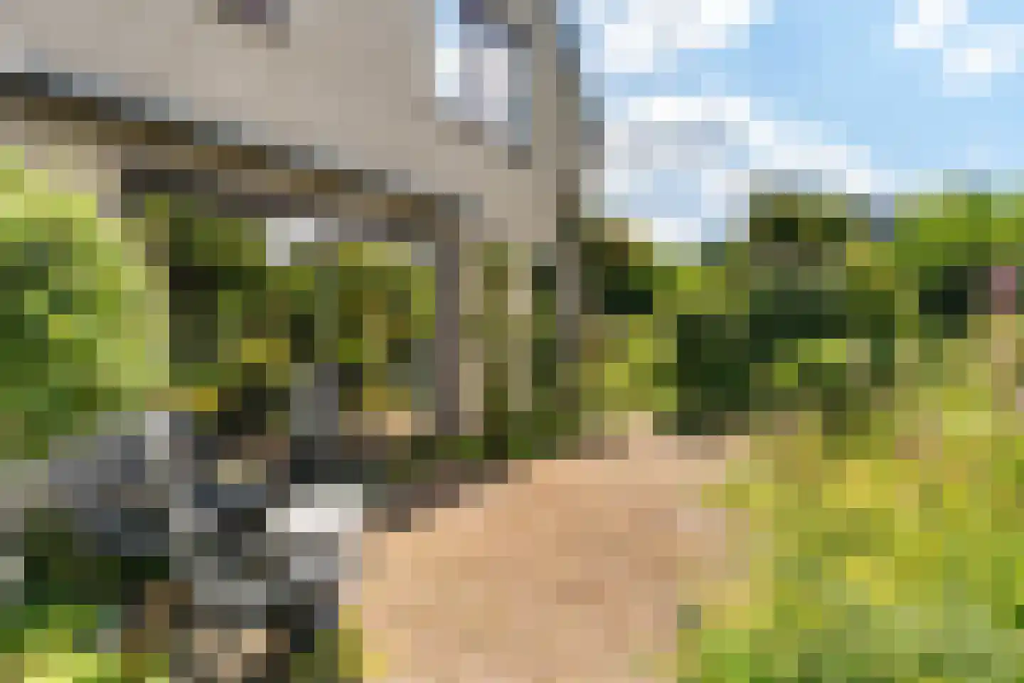 Louis Davidsstraat 31 Hengelo thumbnail 35