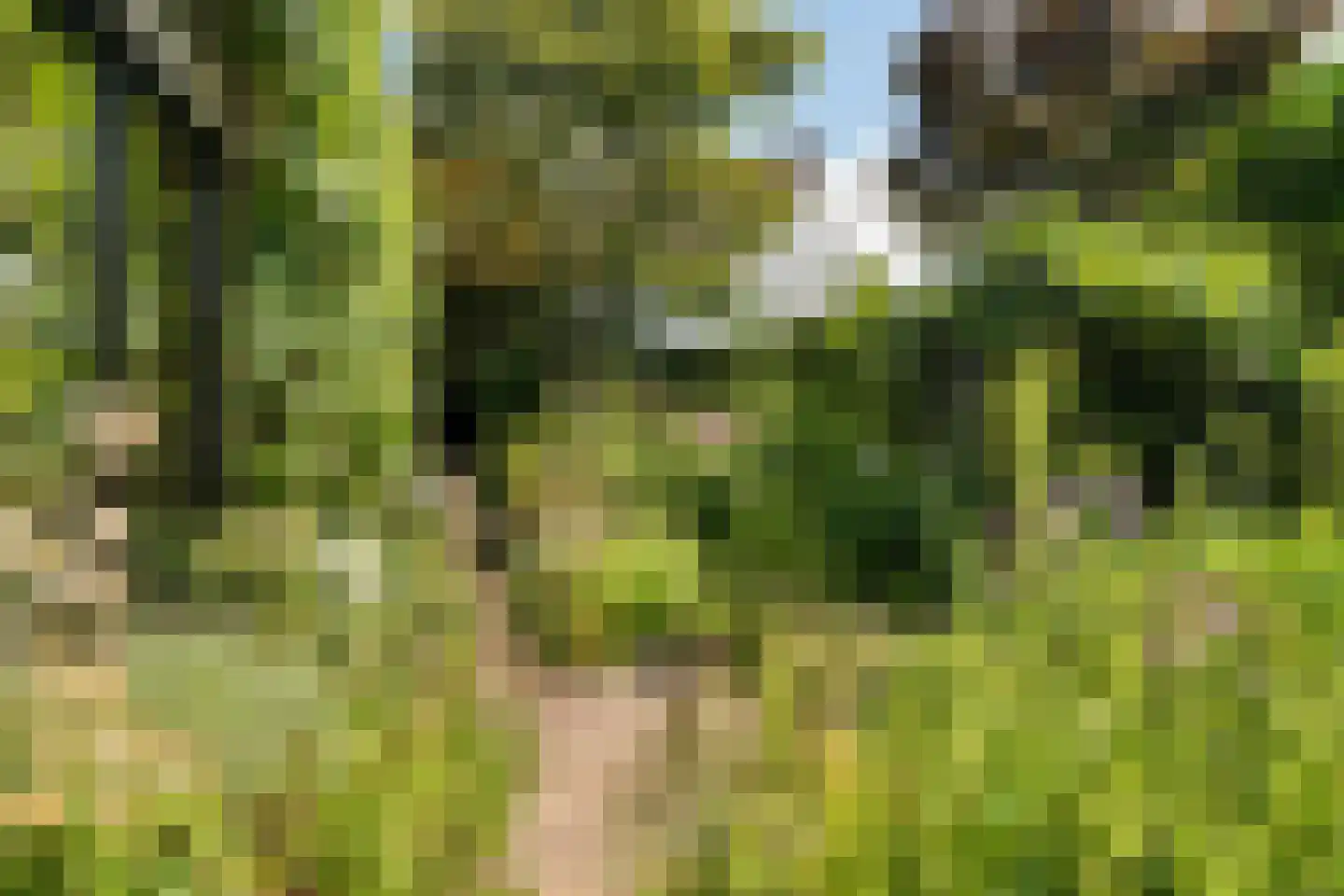 Louis Davidsstraat 31 Hengelo thumbnail 38