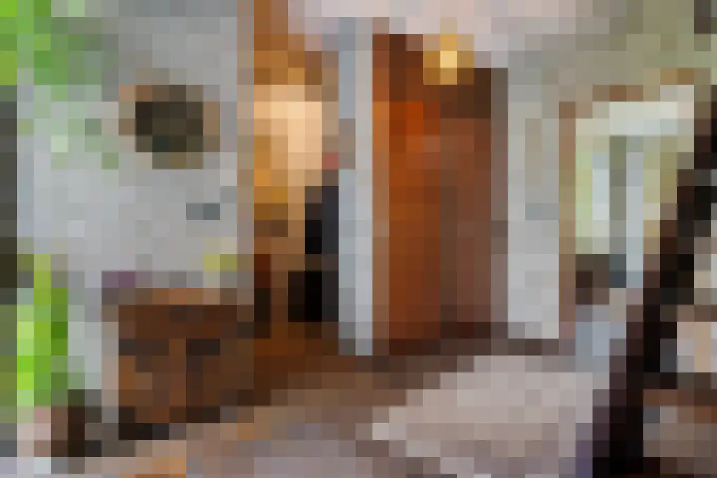 Louis Davidsstraat 31 Hengelo thumbnail 8