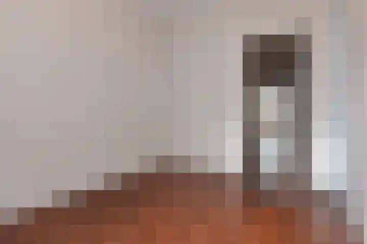 Louis Davidsstraat 327 Den Haag thumbnail 5