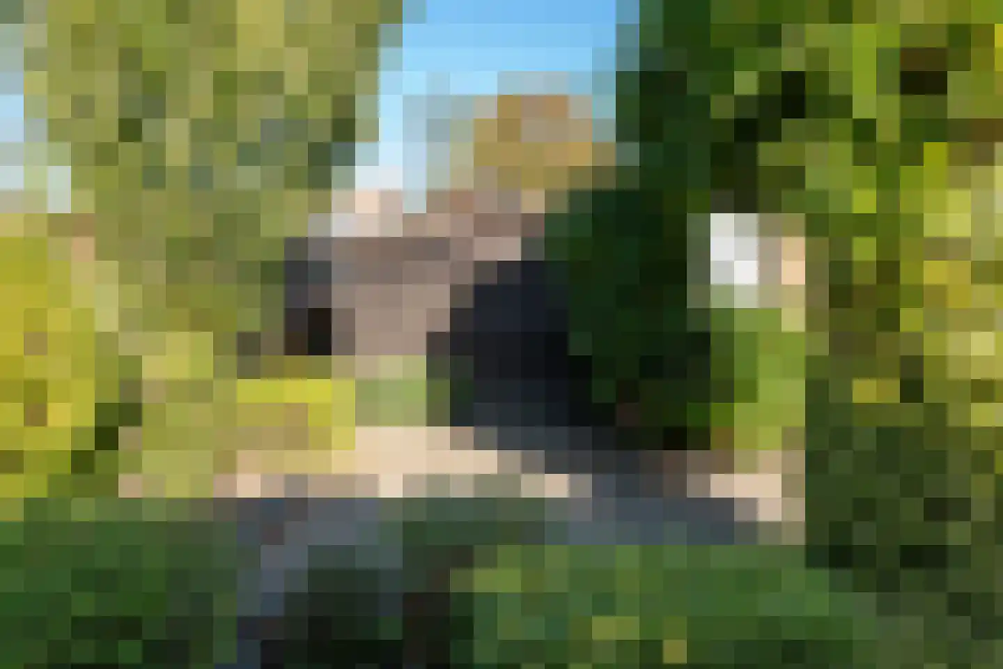 Louis Davidsstraat 34 Hengelo thumbnail 35