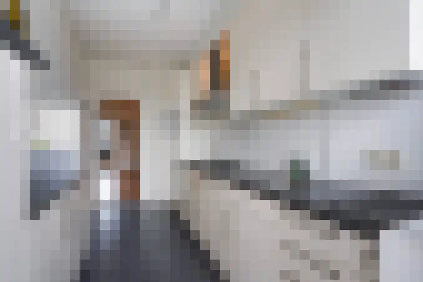 Louis Davidsstraat 433 Den Haag thumbnail 13
