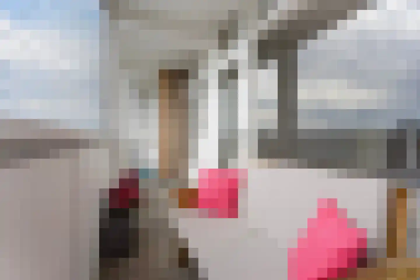 Louis Davidsstraat 433 Den Haag thumbnail 15