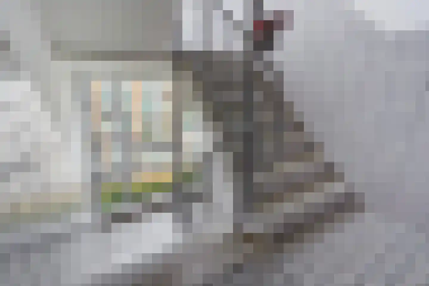 Louis Davidsstraat 433 Den Haag thumbnail 4
