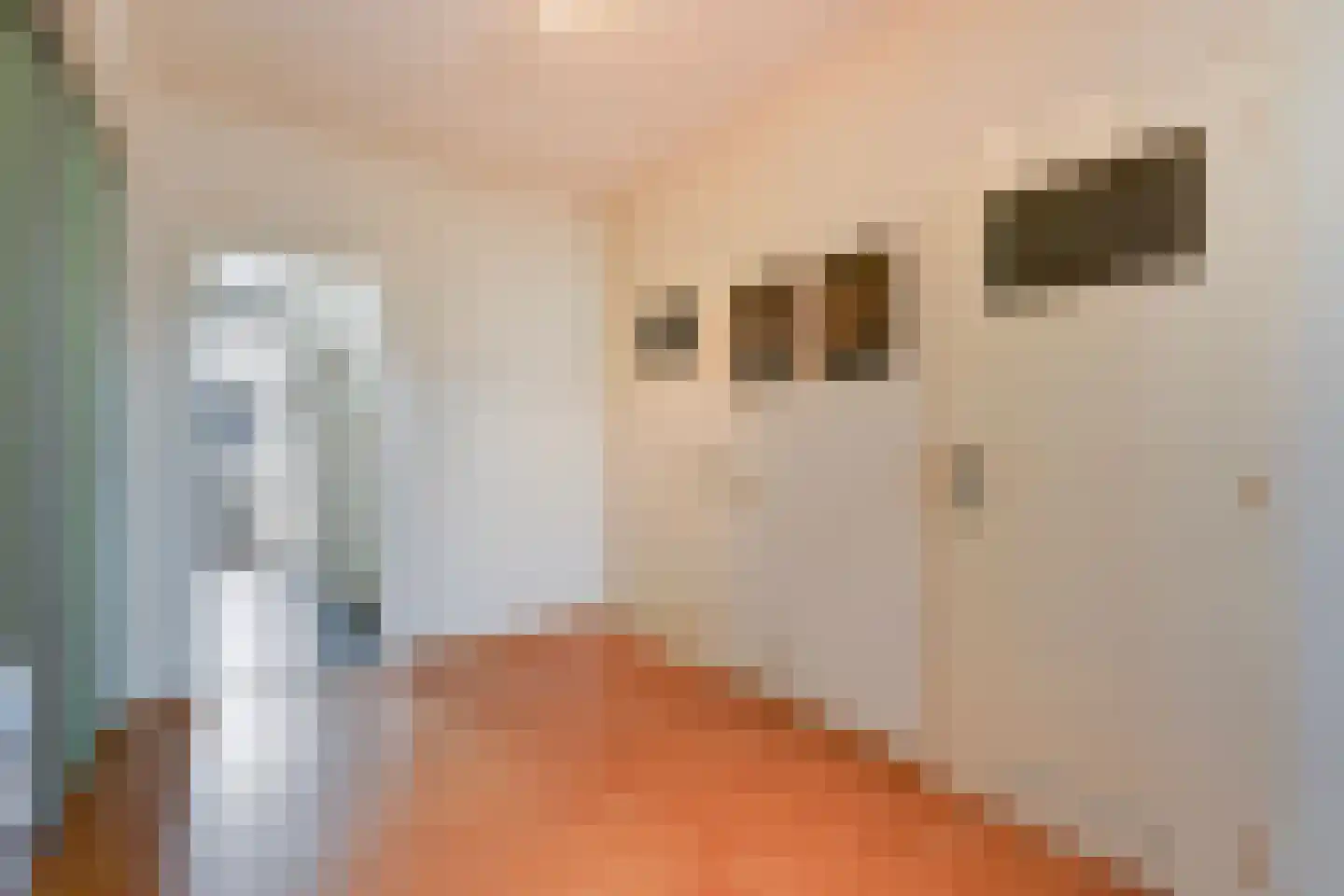 Louis Davidsstraat 433 Den Haag thumbnail 7