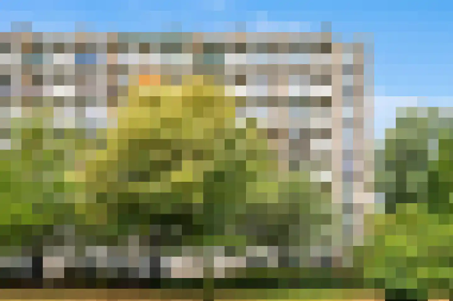 Louis Davidsstraat 505 Den Haag thumbnail 5