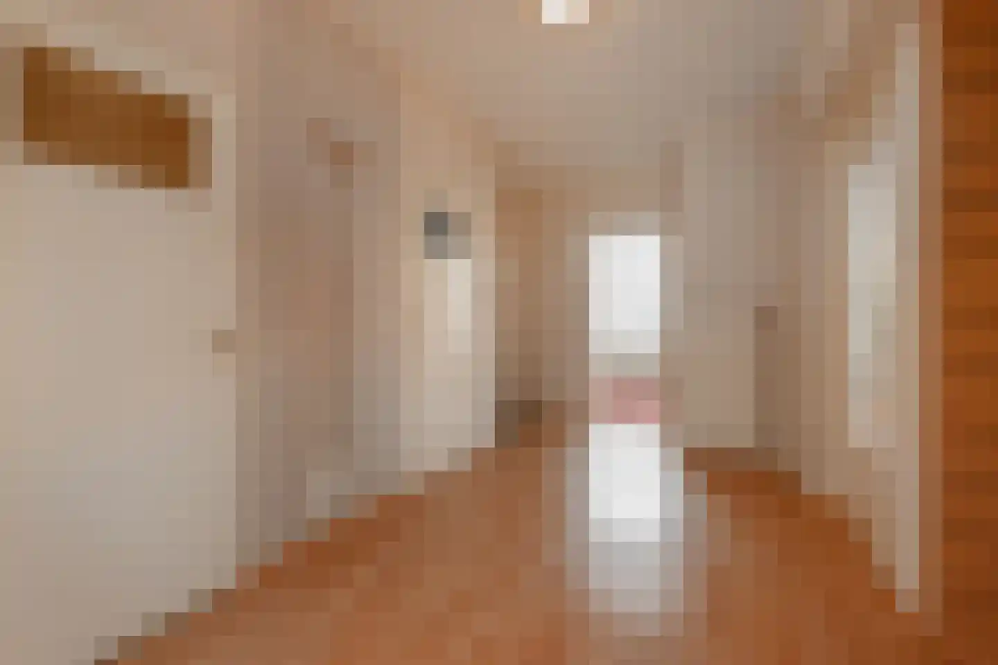 Louis Davidsstraat 535 Den Haag thumbnail 11