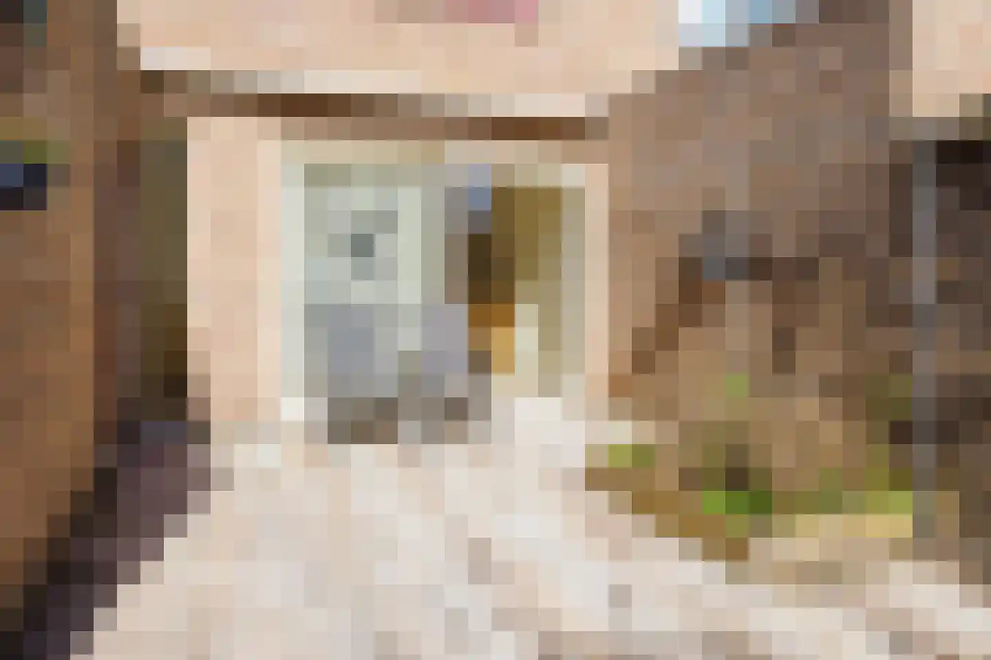 Louis Davidsstraat 58 Hengelo thumbnail 38