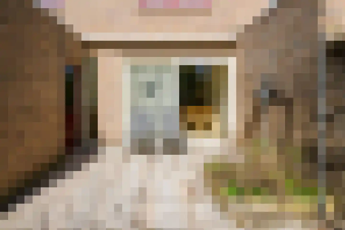Louis Davidsstraat 58 Hengelo thumbnail 39