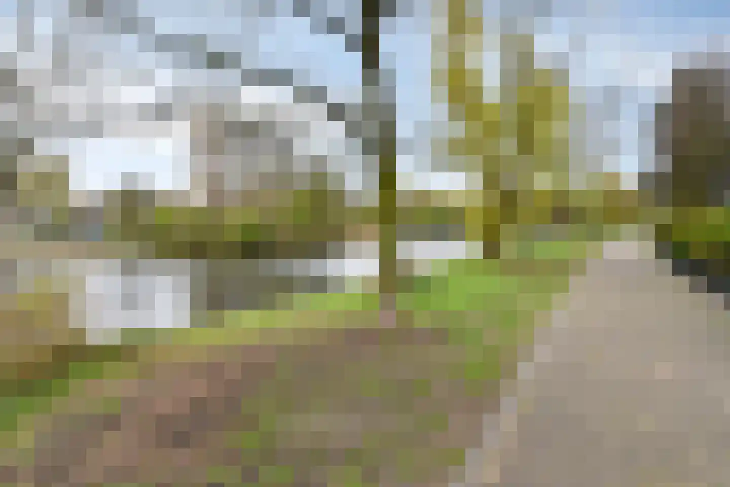 Louis Davidsstraat 597 Den Haag thumbnail 36