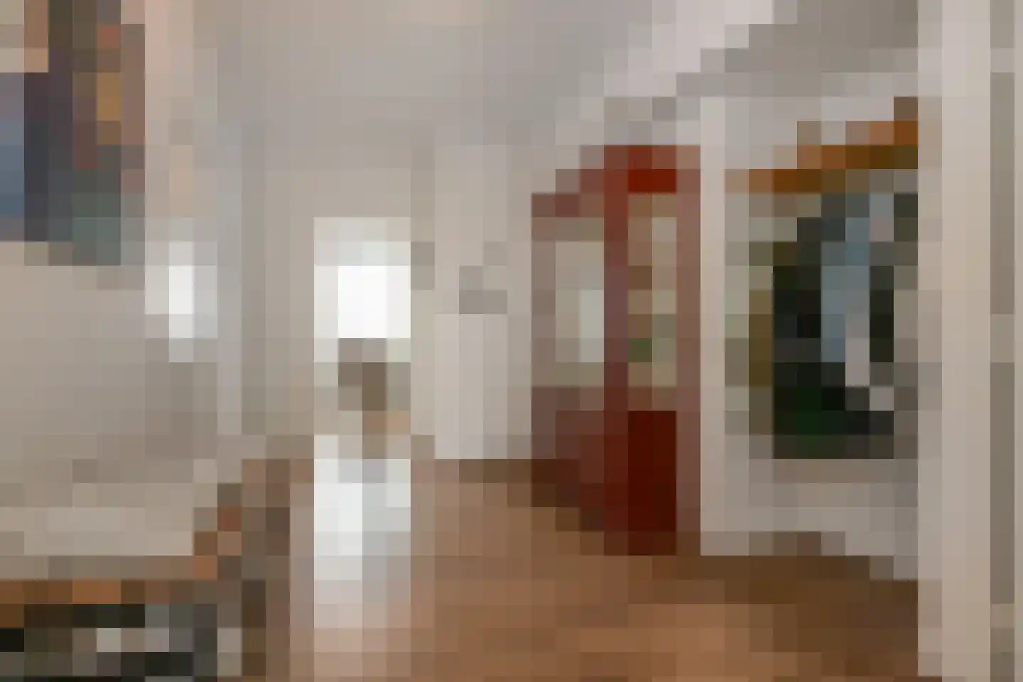 Louis Davidsstraat 623 Den Haag thumbnail 12