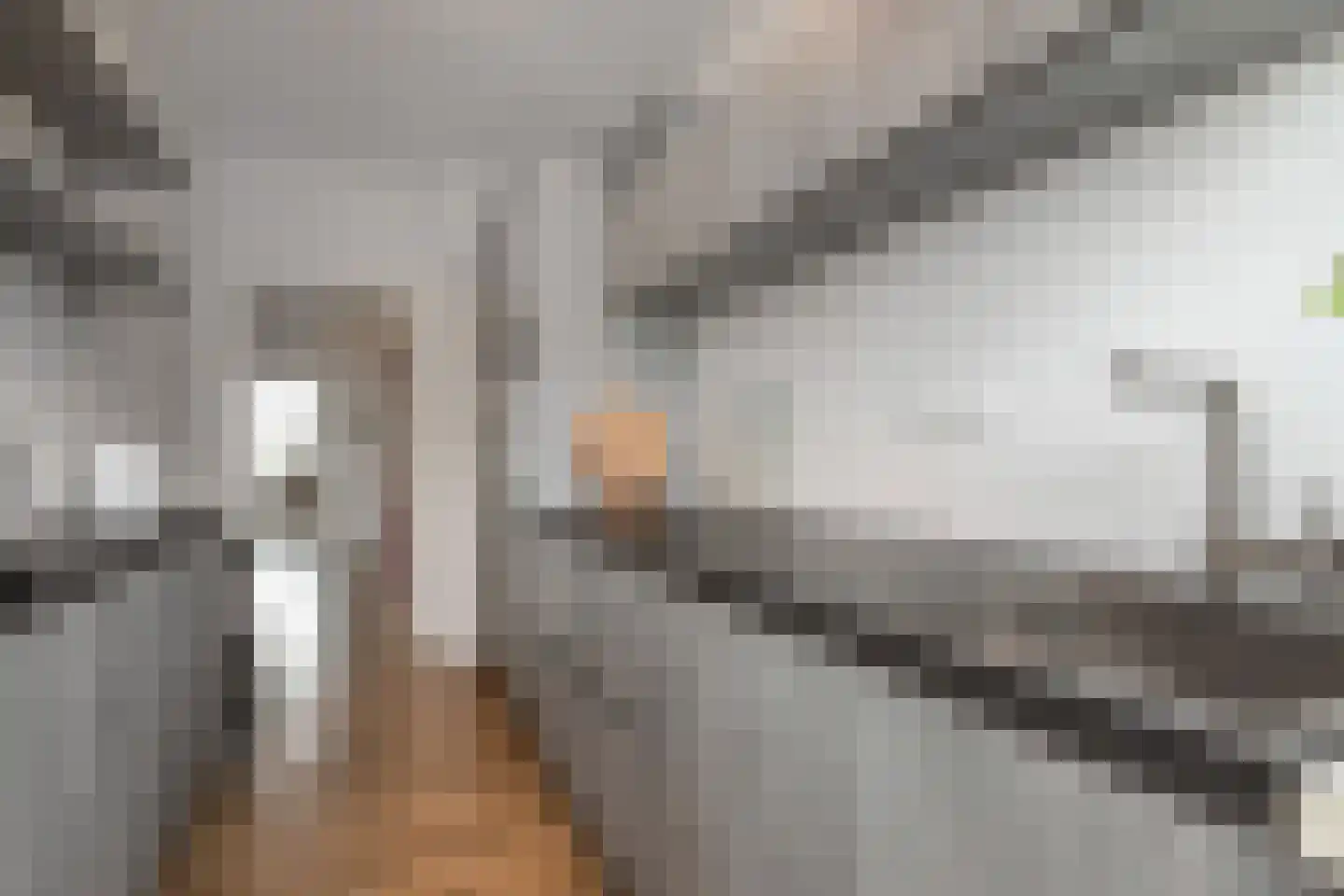 Louis Davidsstraat 623 Den Haag thumbnail 16