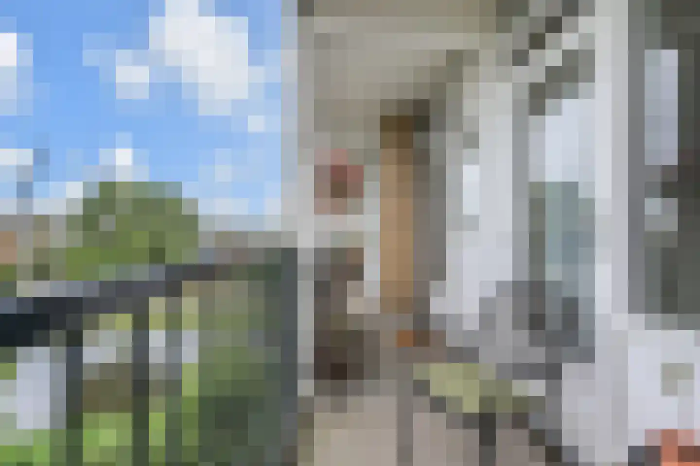 Louis Davidsstraat 623 Den Haag thumbnail 18
