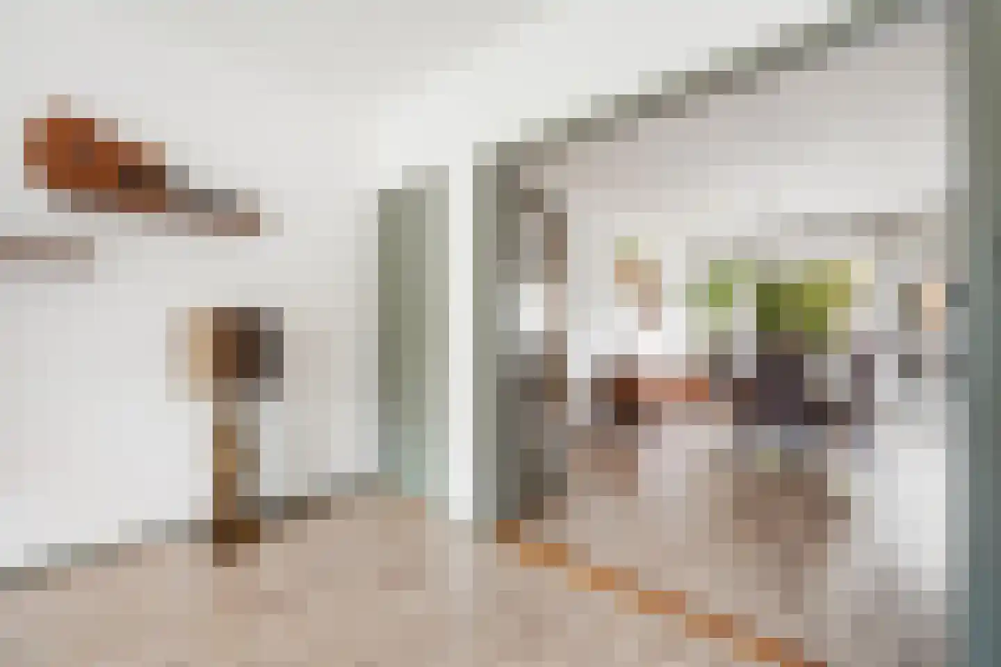 Louis Davidsstraat 679 Den Haag thumbnail 11