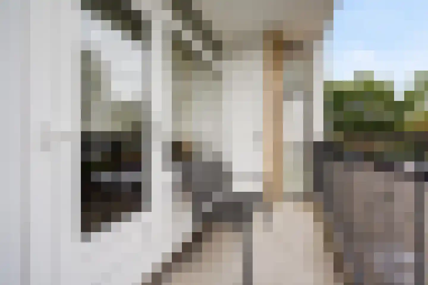 Louis Davidsstraat 679 Den Haag thumbnail 19