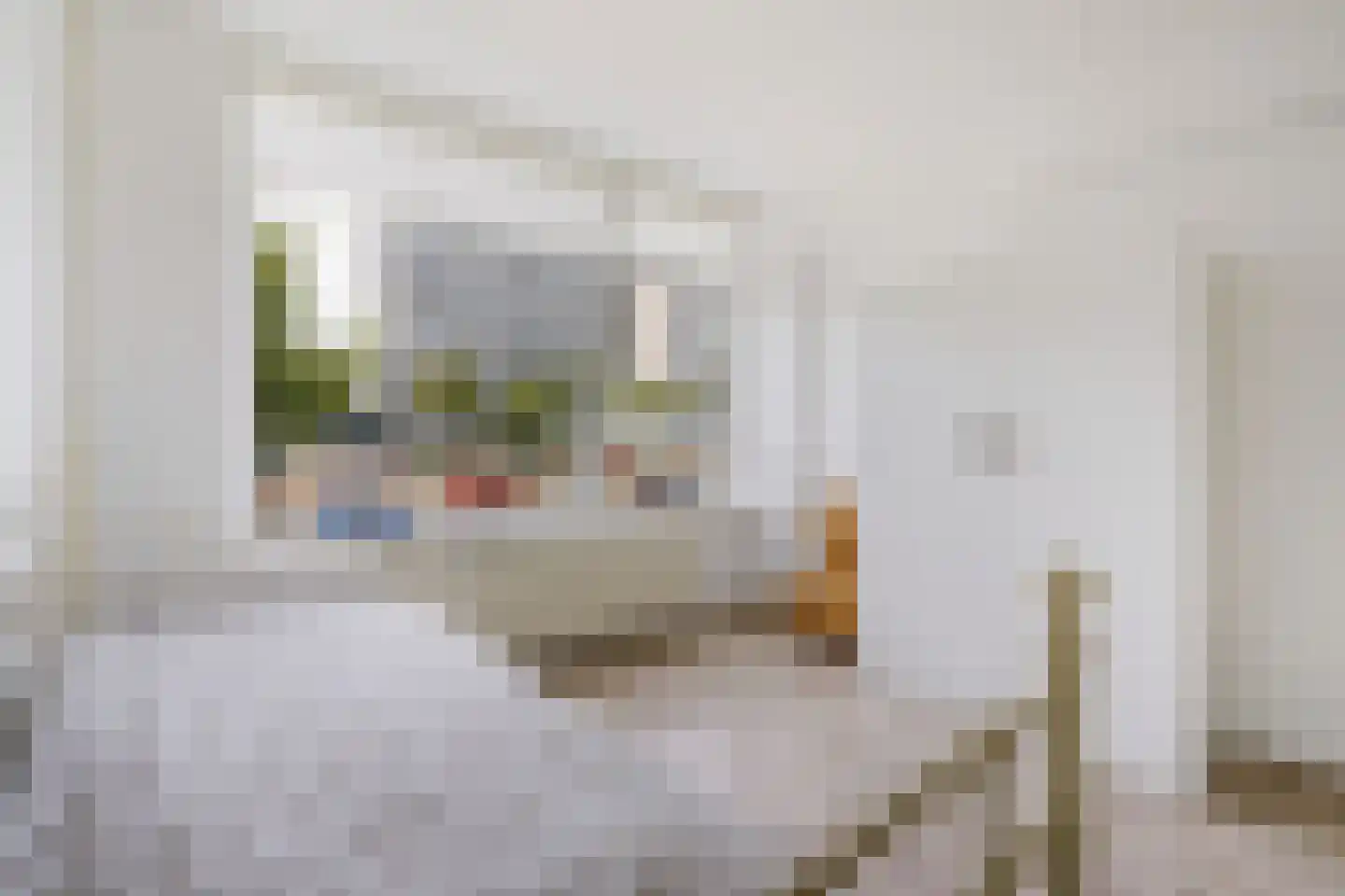Louis Davidsstraat 679 Den Haag thumbnail 27