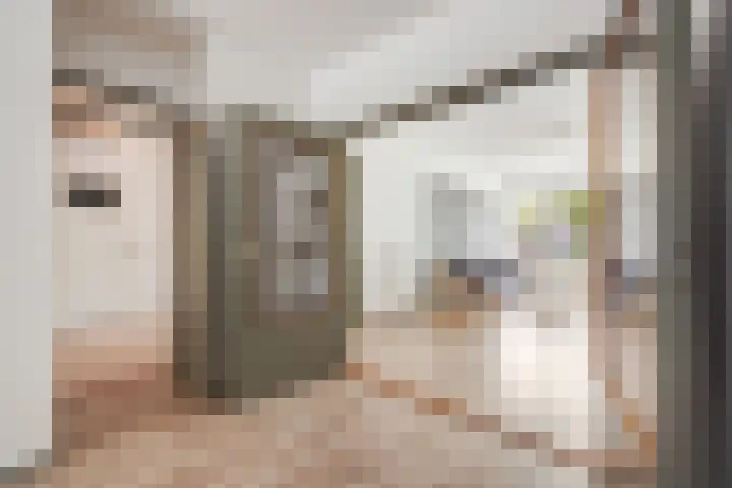 Louis Davidsstraat 679 Den Haag thumbnail 8