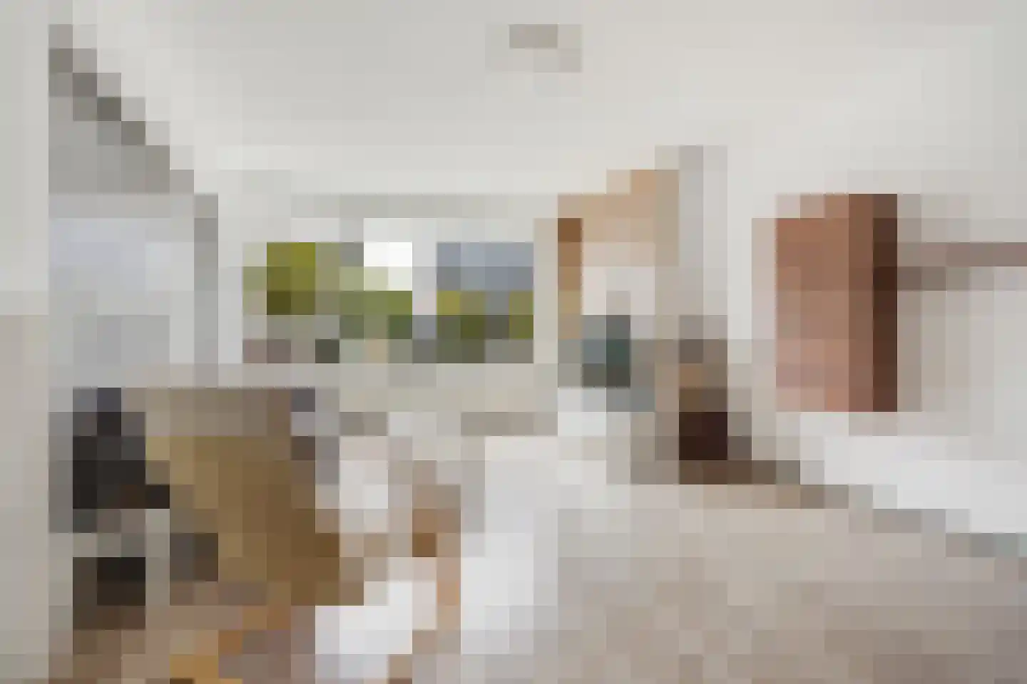Louis Davidsstraat 679 Den Haag thumbnail 9