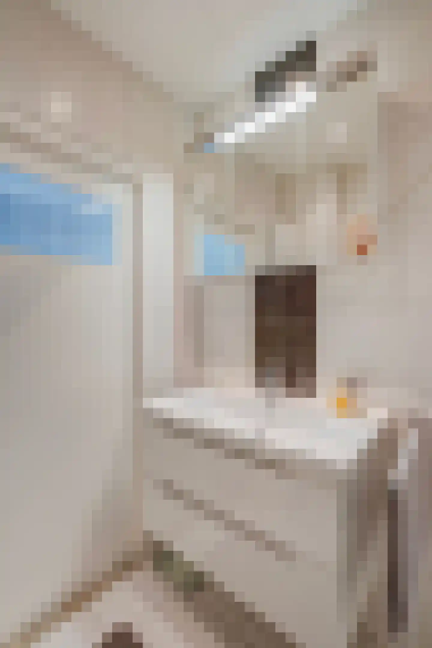 Louis Davidsstraat 691 Den Haag thumbnail 20