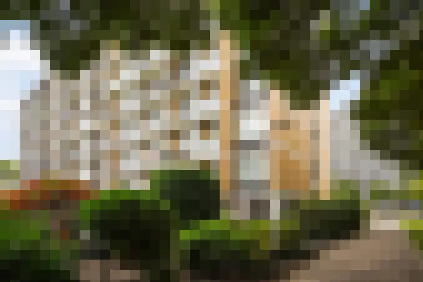Louis Davidsstraat 769 Den Haag thumbnail 42