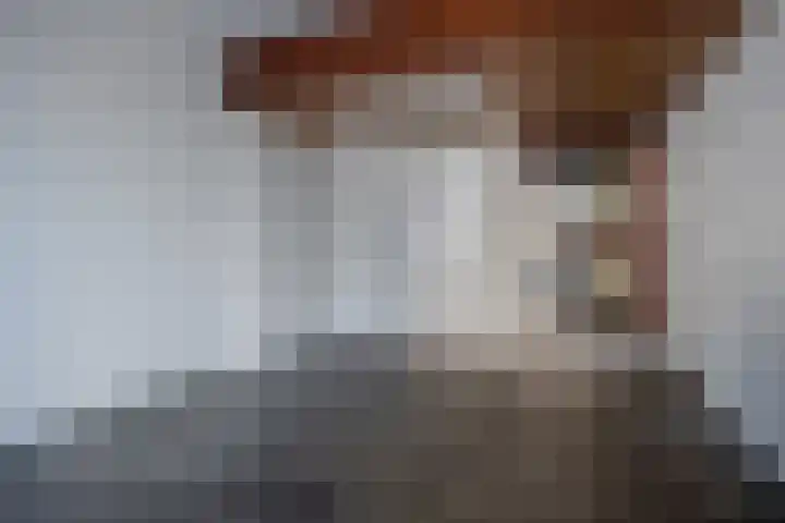 Louis Davidsstraat 769 Den Haag thumbnail 6