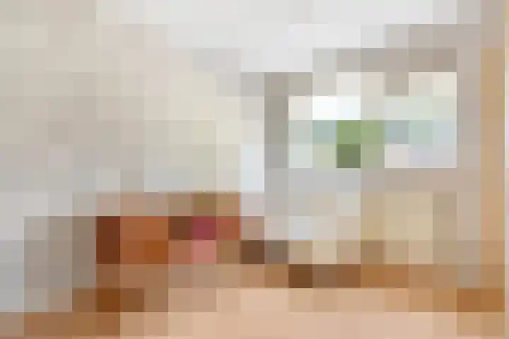 Louis Davidsstraat 88 Hengelo thumbnail 32