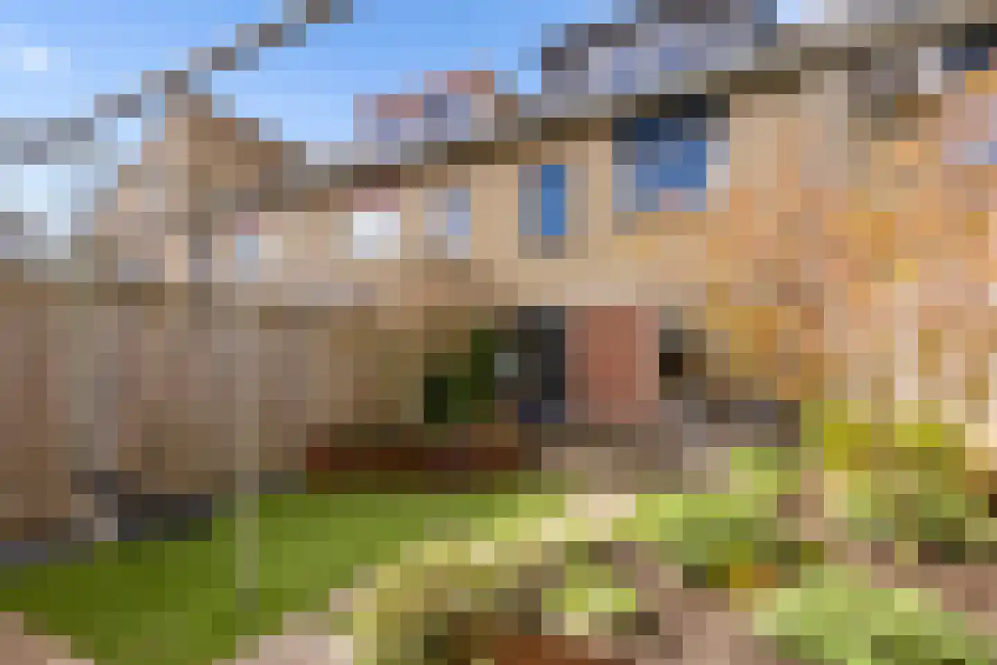 Louis de Funèsstraat 25 Almere thumbnail 46