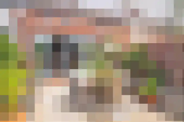 Louis Delruellestraat 14 Sittard thumbnail 23