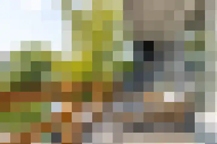 Louis Eliasstraat 24 Valkenburg thumbnail 47