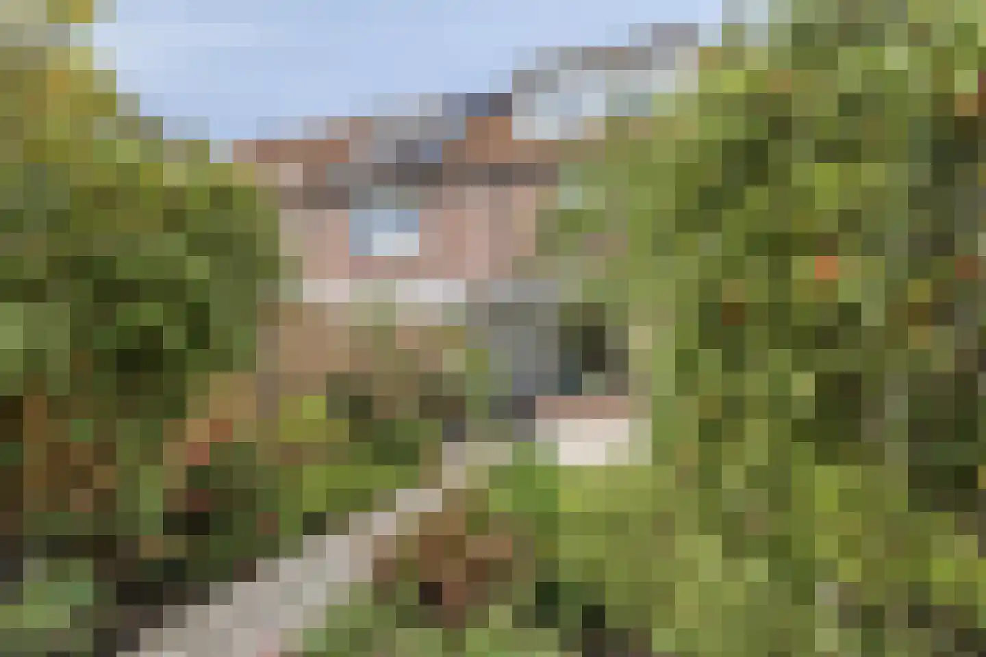 Louis Elsevierstraat 26 Leiden thumbnail 13