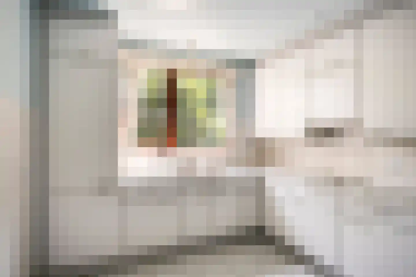 Louis Kookenweg 16 Eindhoven thumbnail 12
