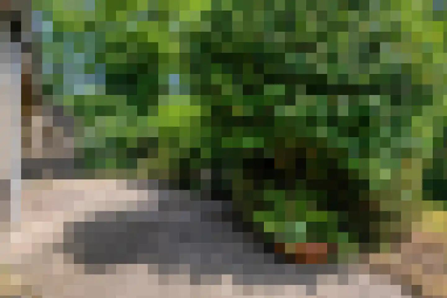 Louis Kookenweg 16 Eindhoven thumbnail 27