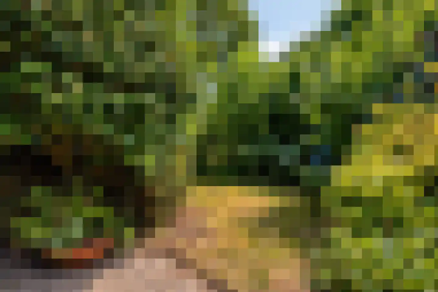 Louis Kookenweg 16 Eindhoven thumbnail 28