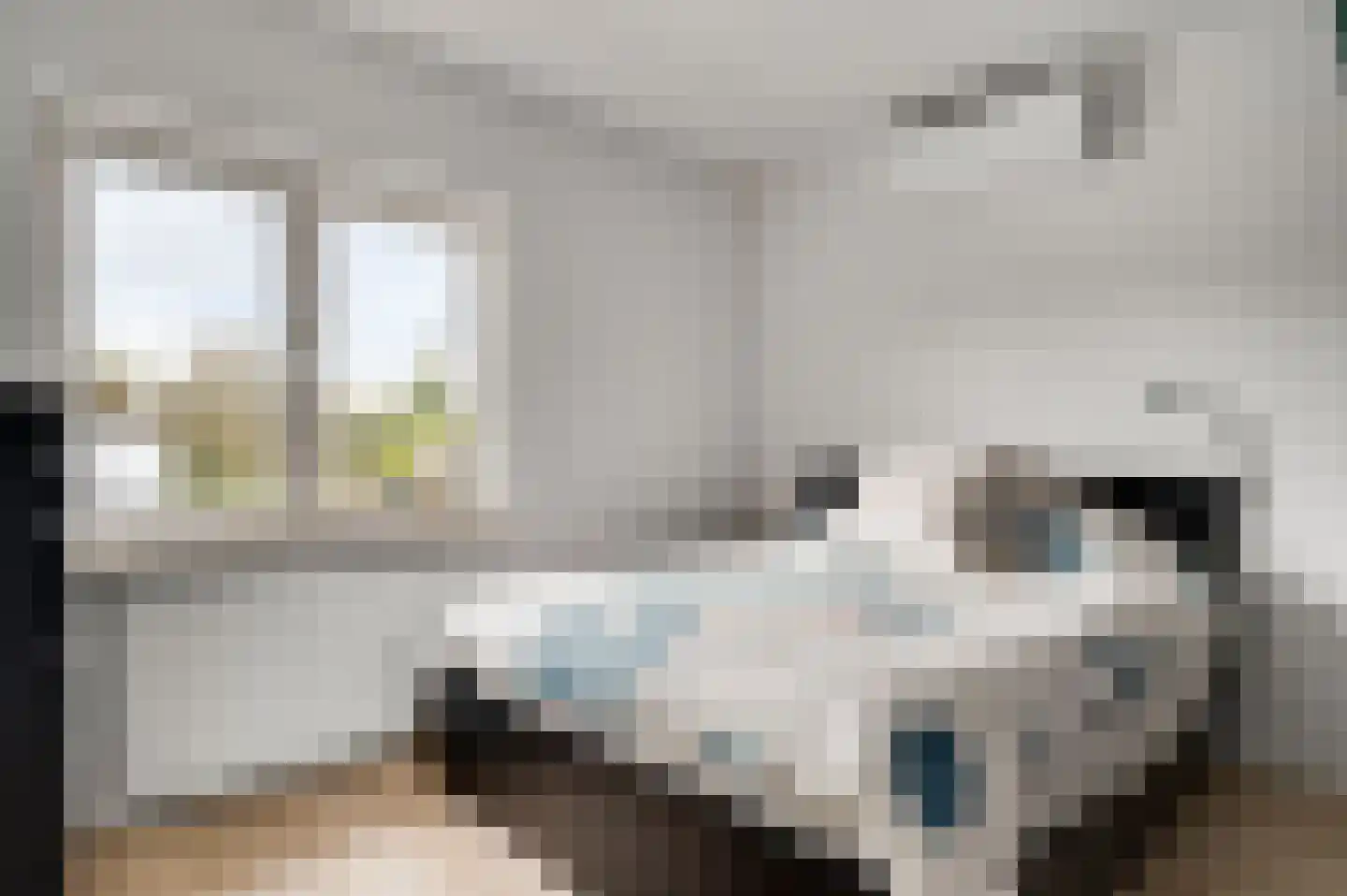 Louis Marie Jaminhof 2 Bunde thumbnail 12