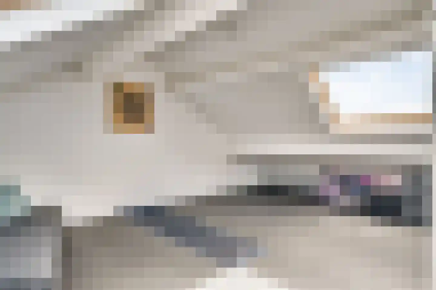 Louis Marie Jaminhof 2 Bunde thumbnail 18