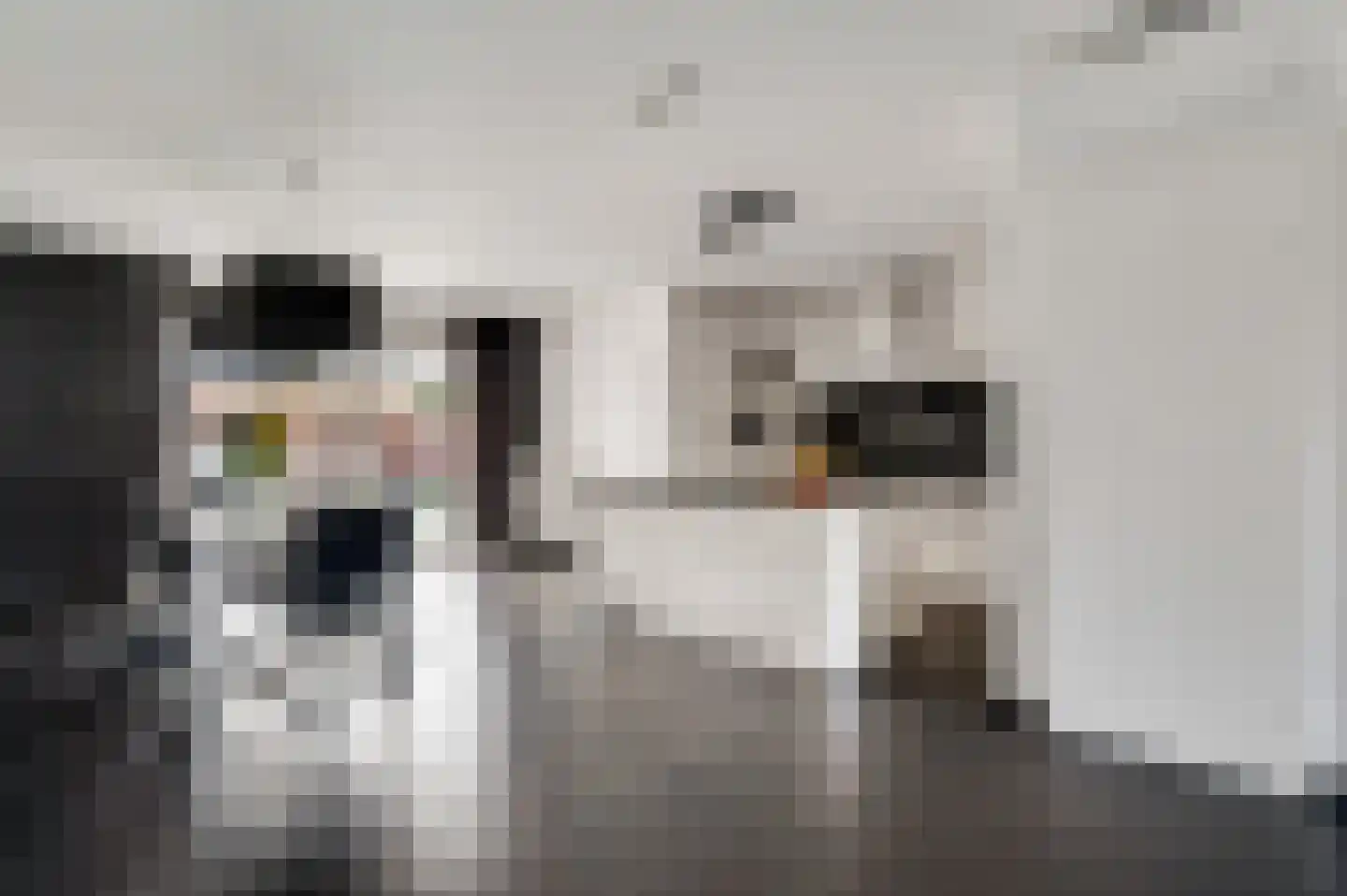 Louis Marie Jaminhof 2 Bunde thumbnail 6