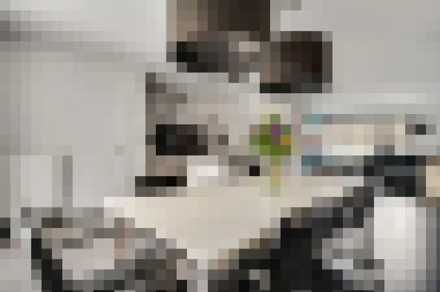 Louis Marie Jaminhof 2 Bunde thumbnail 7
