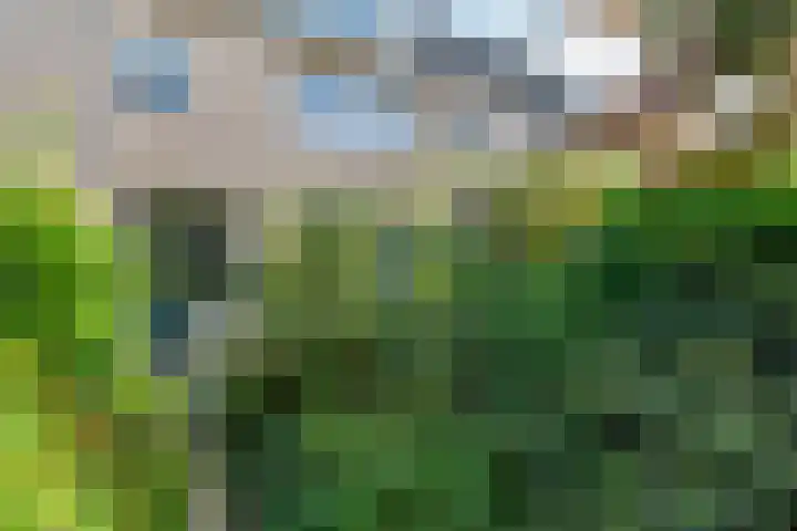 Louis Pasteurlaan 11 Vleuten thumbnail 11