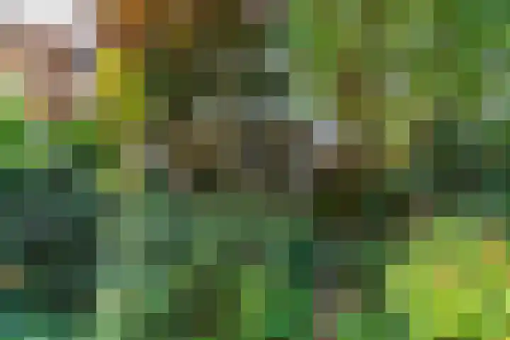 Louis Pasteurlaan 11 Vleuten thumbnail 12