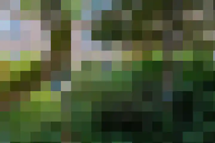 Louis Pasteurlaan 11 Vleuten thumbnail 13