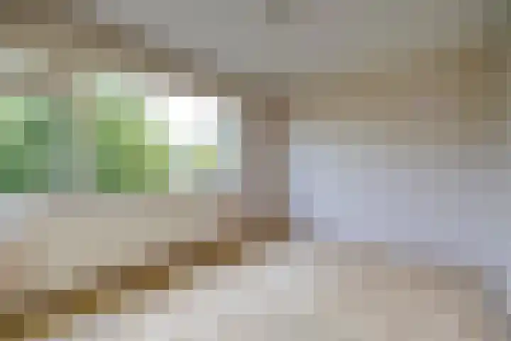 Louis Pasteurlaan 11 Vleuten thumbnail 19