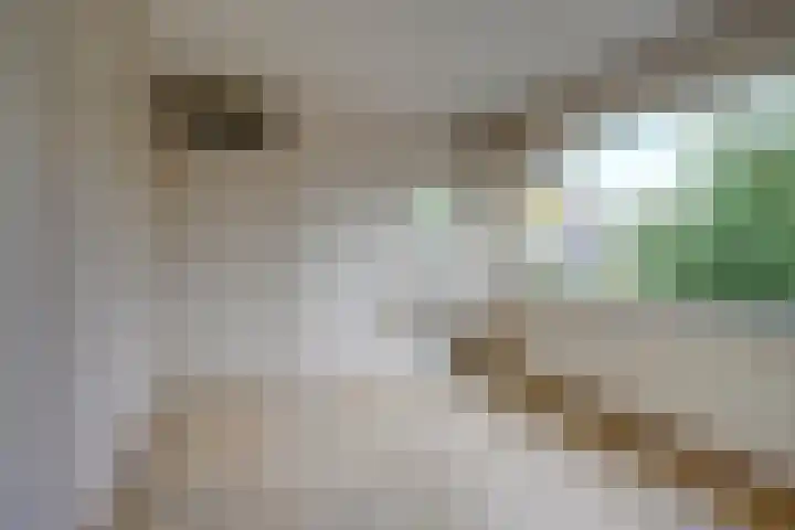 Louis Pasteurlaan 11 Vleuten thumbnail 20