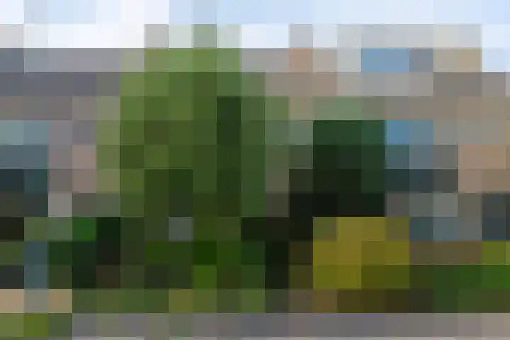 Louis Pasteurlaan 11 Vleuten thumbnail 29