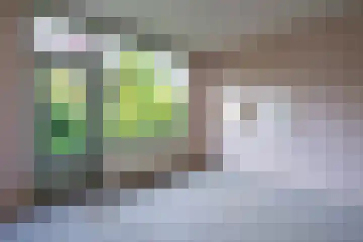 Louis Pasteurlaan 11 Vleuten thumbnail 7