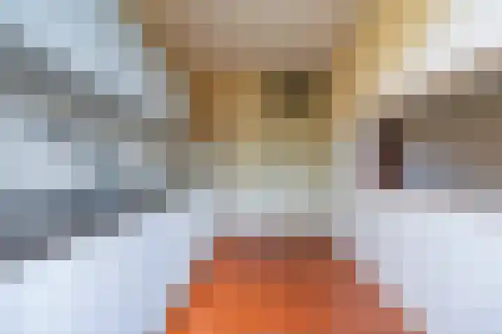 Louis Pasteurlaan 11 Vleuten thumbnail 9