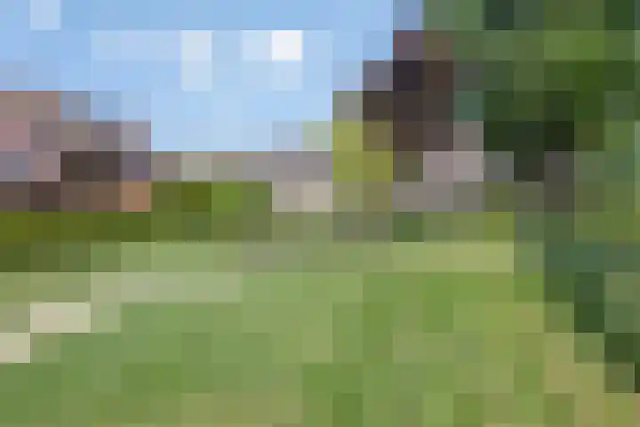 Louis Pasteurlaan 24 IJsselmuiden thumbnail 39