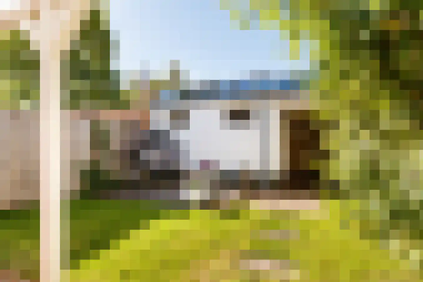 Louis Pasteurlaan 3 Vleuten thumbnail 11