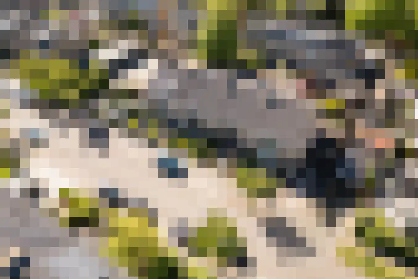 Louis Pasteurlaan 3 Vleuten thumbnail 28