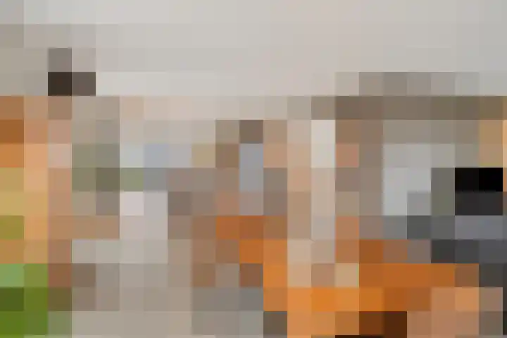Louis Pasteurstraat 20 Waspik thumbnail 12